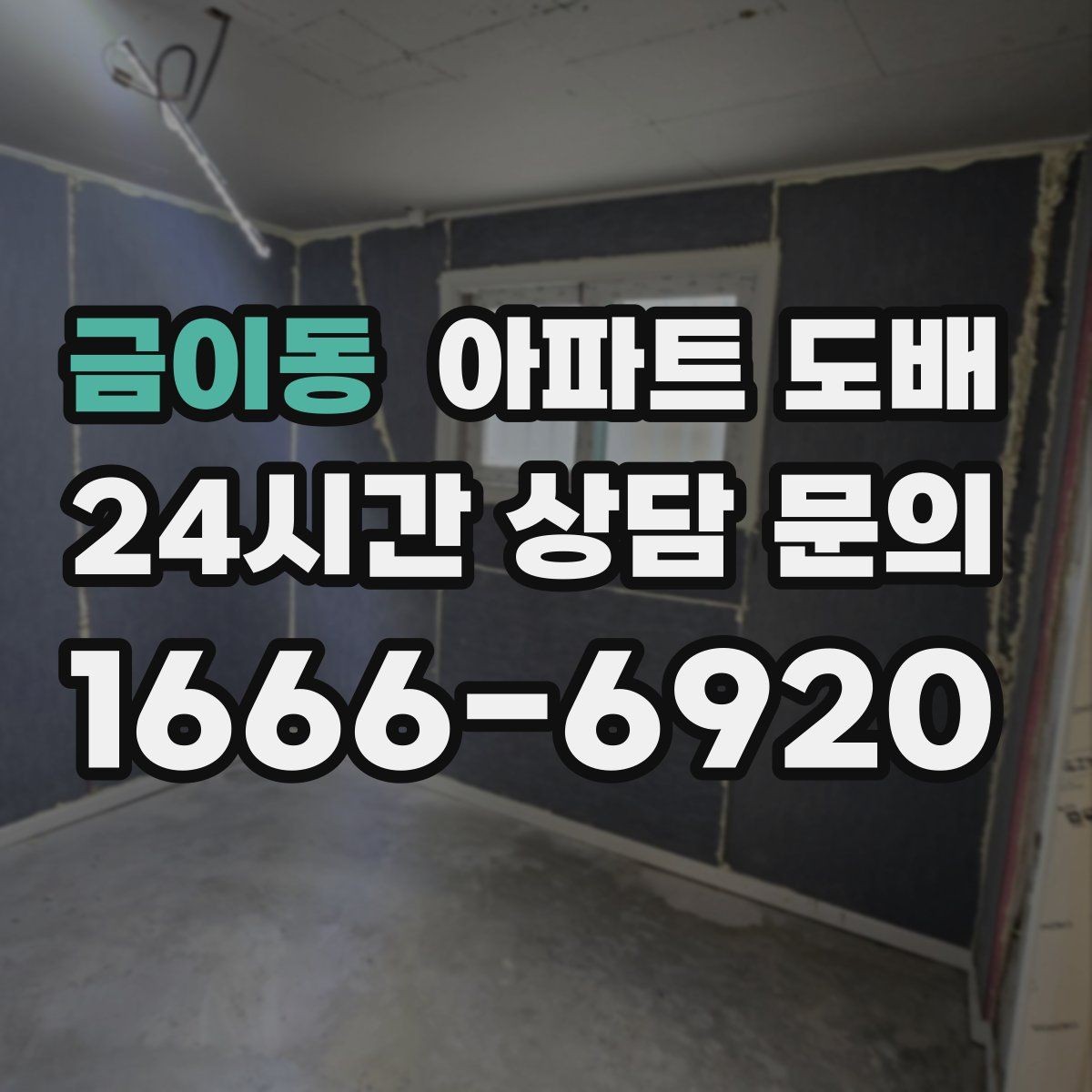 금이동 아파트 도배 기본형과 고급형 차이 이해하기
