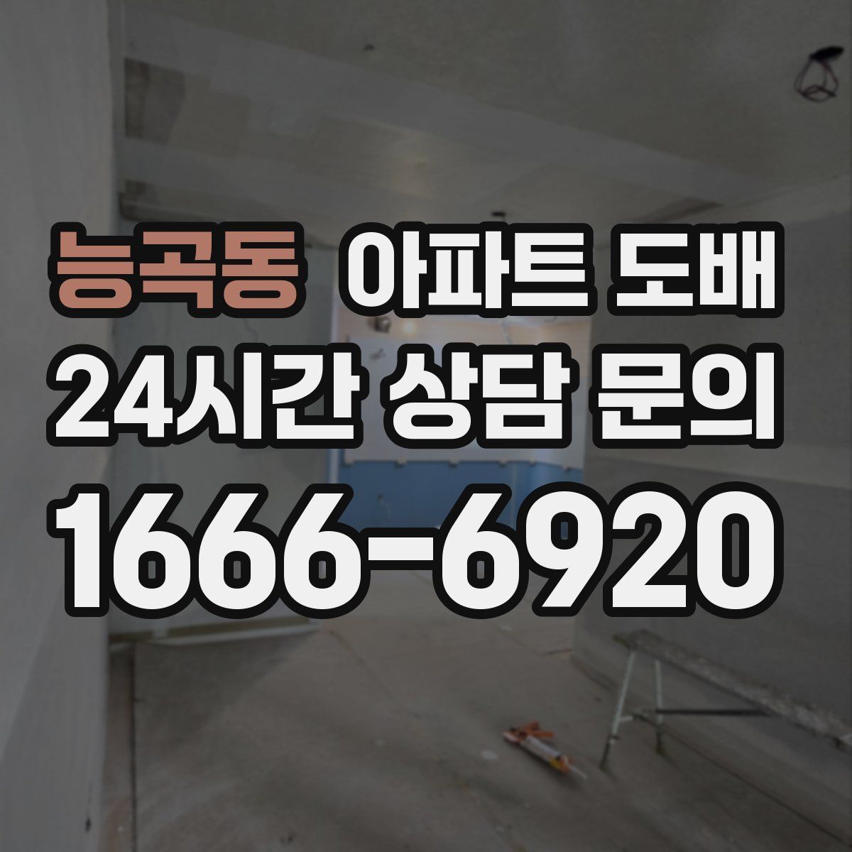 능곡동 아파트 도배