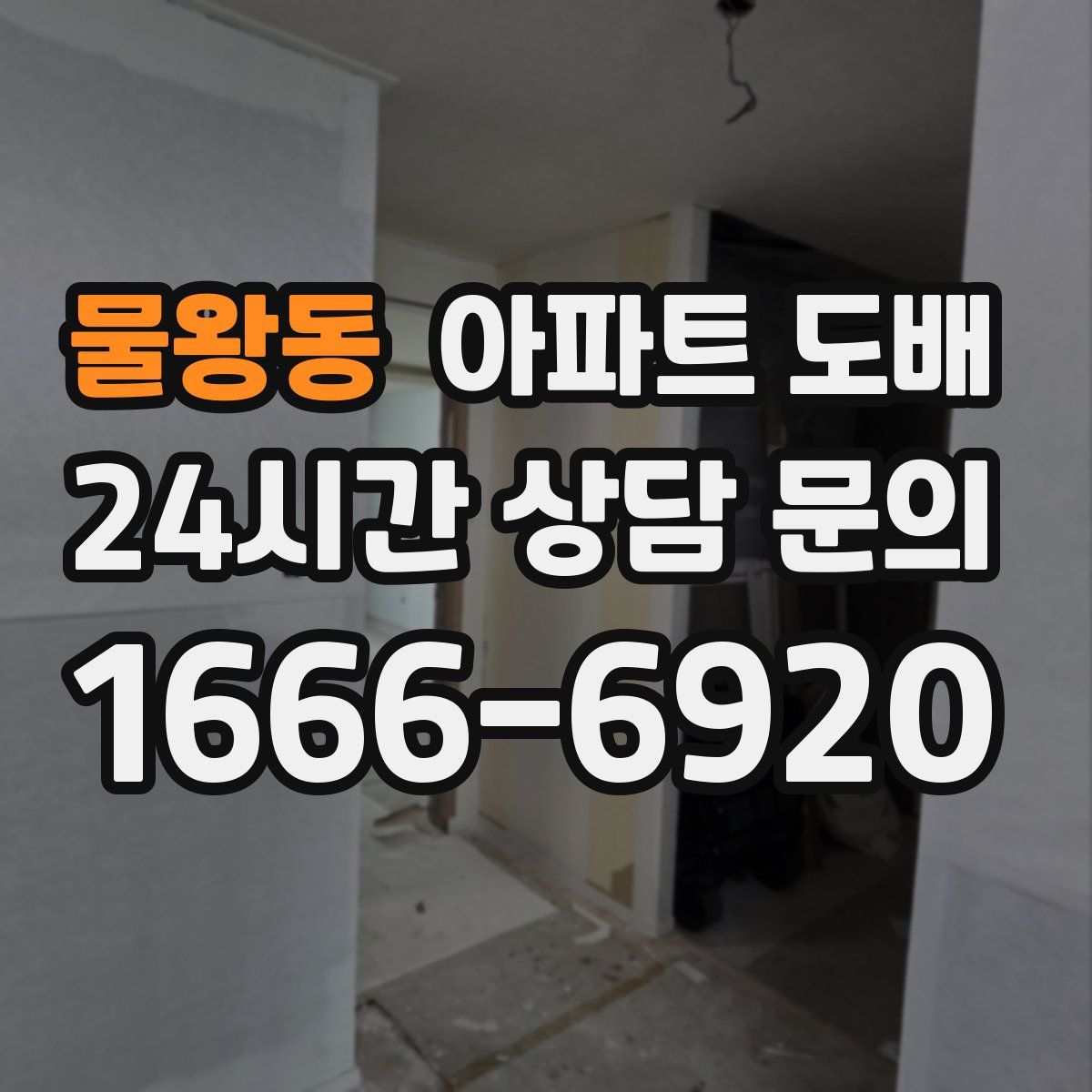 물왕동 아파트 도배