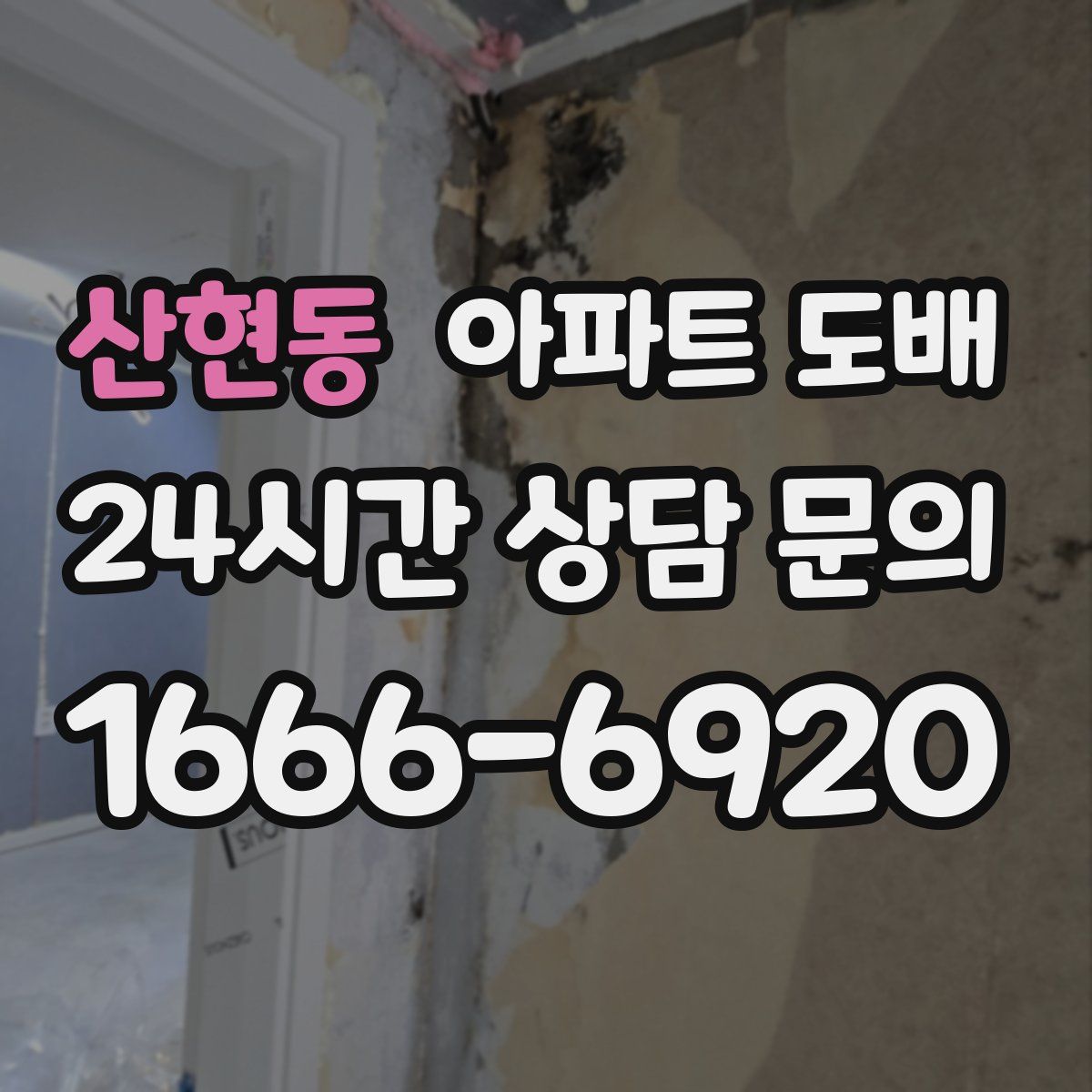 산현동 아파트 도배