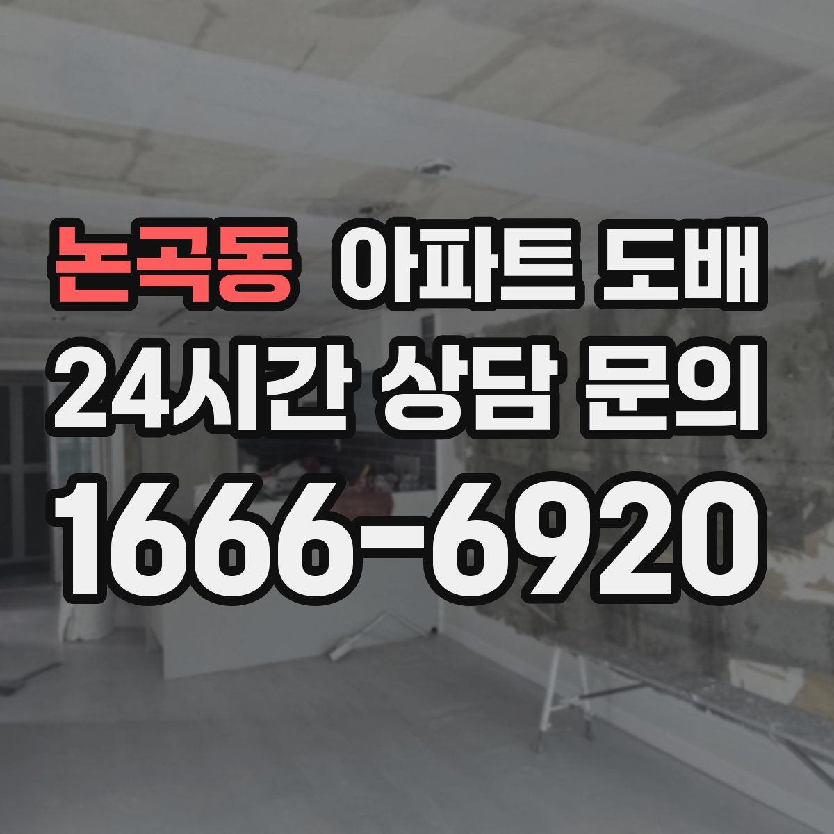 논곡동 아파트 도배