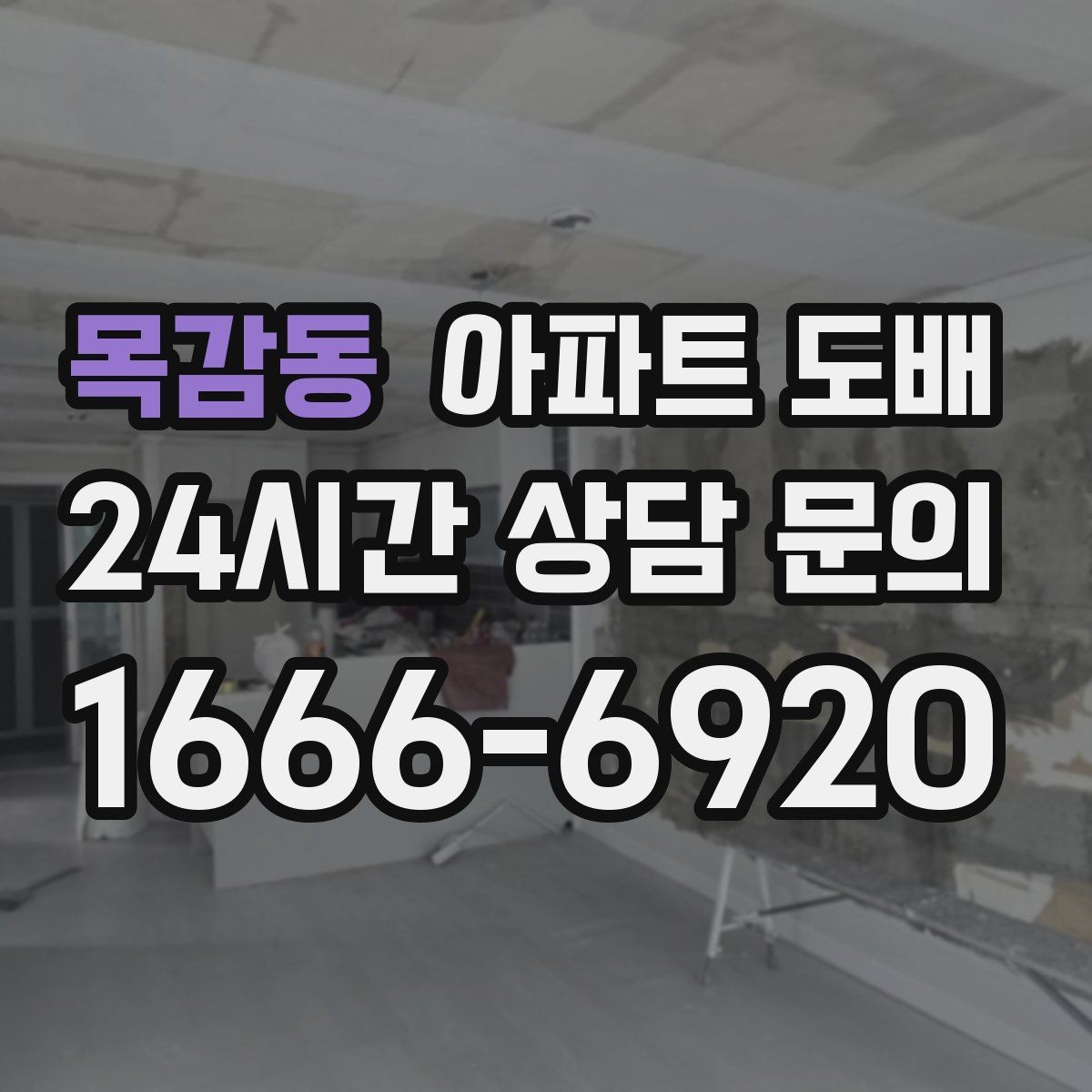 목감동 아파트 도배 벽지 샘플을 볼 때 놓치기 쉬운 점