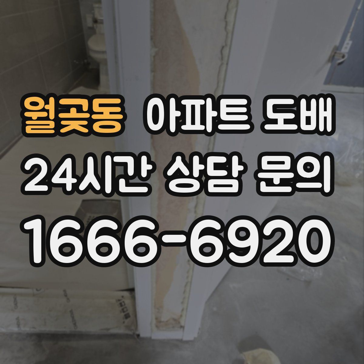 월곶동 아파트 도배