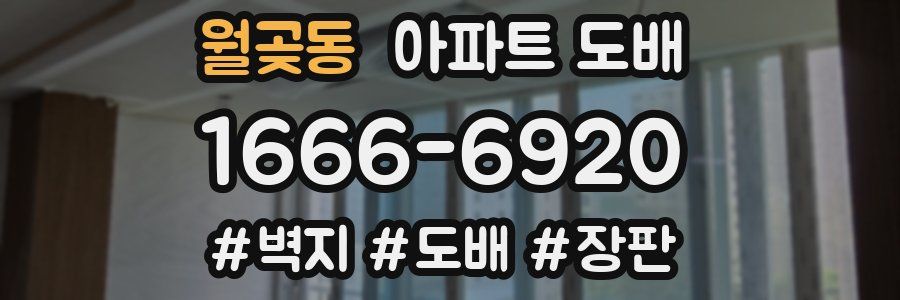 월곶동 아파트 도배