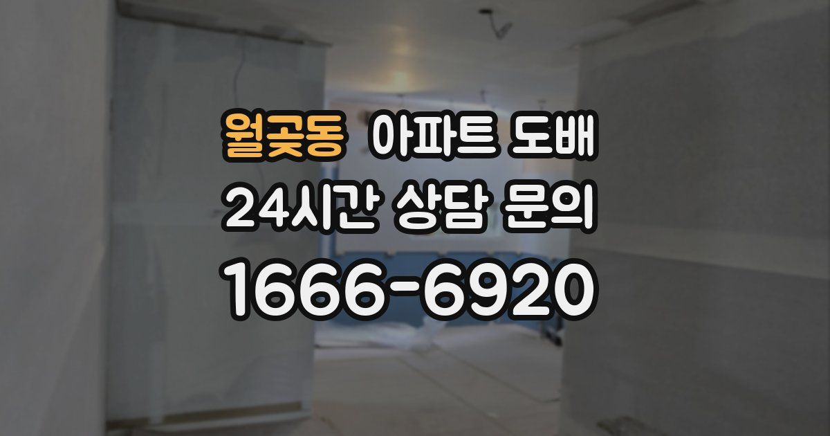 월곶동 아파트 도배
