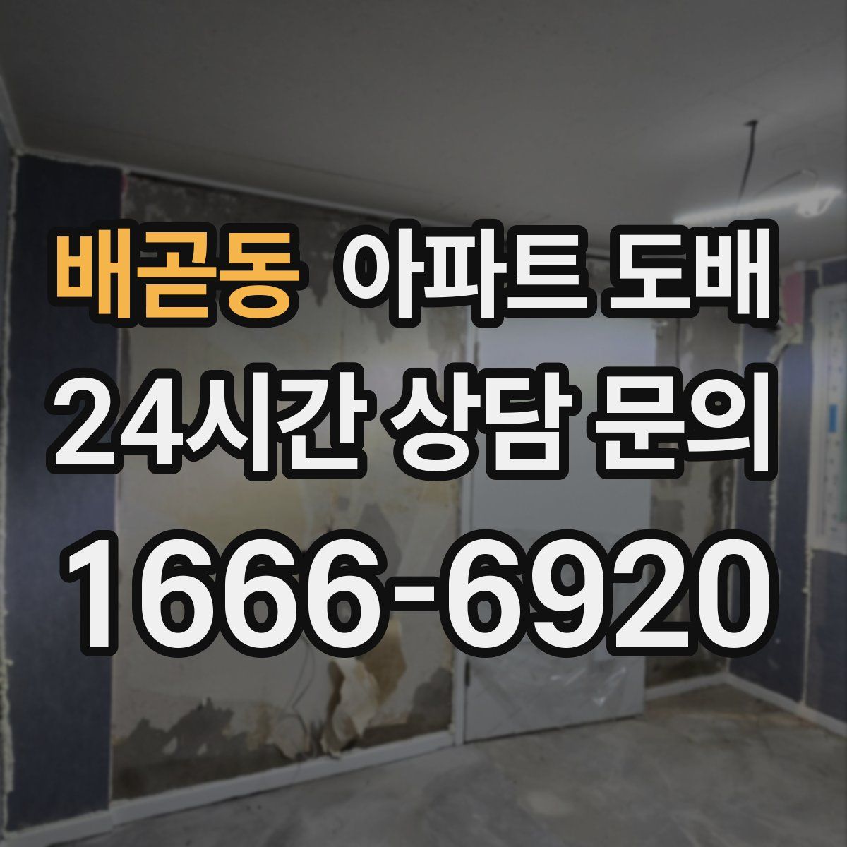 배곧동 아파트 도배