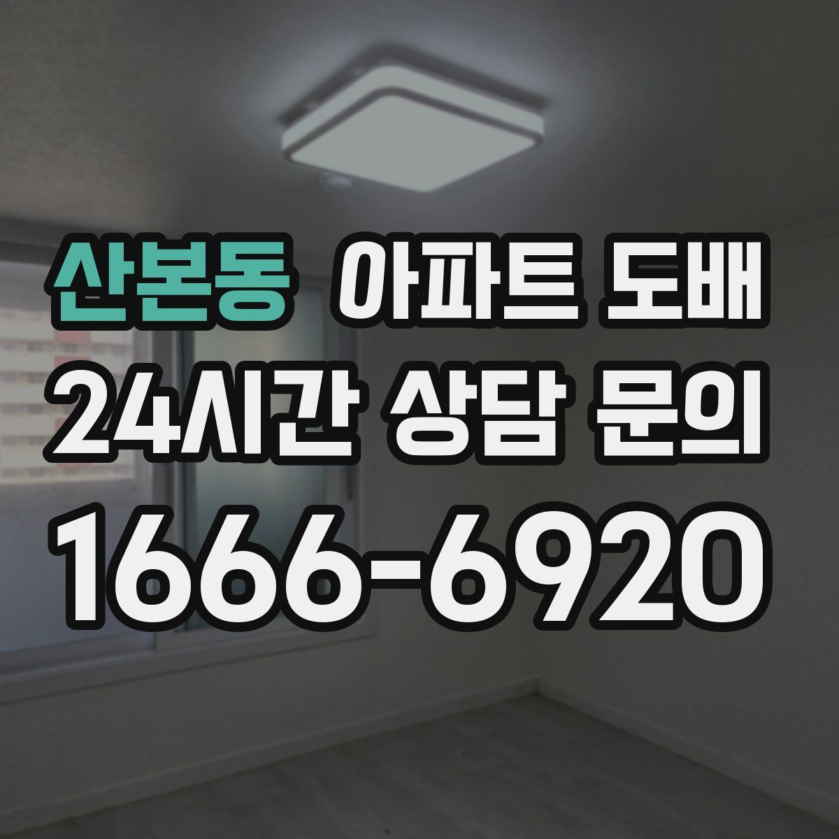 산본동 아파트 도배