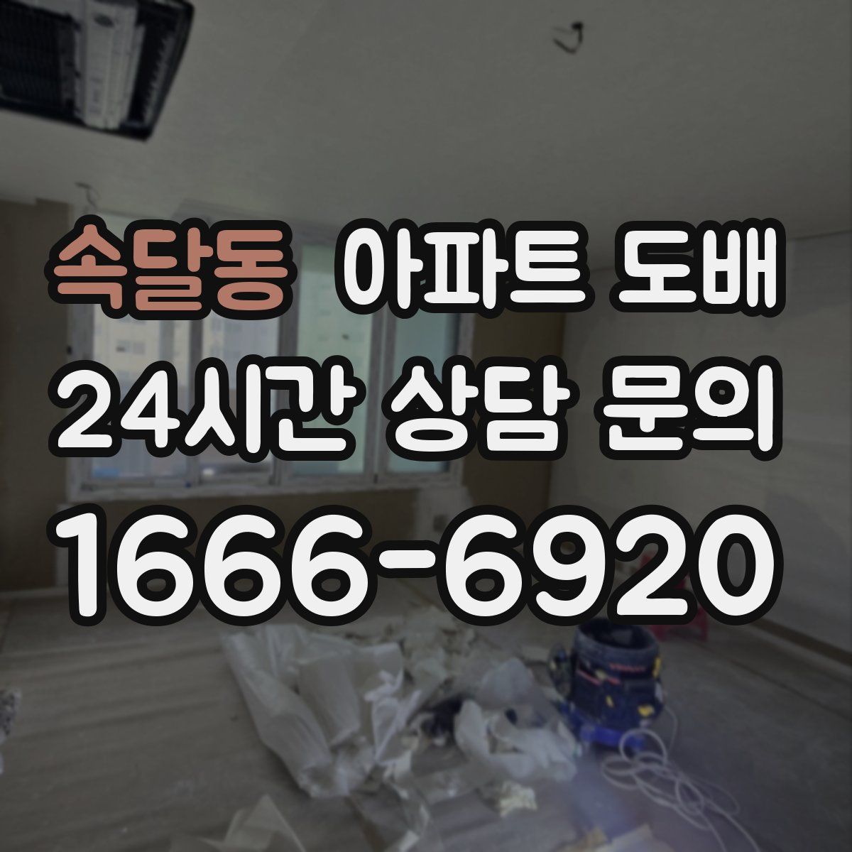 속달동 아파트 도배