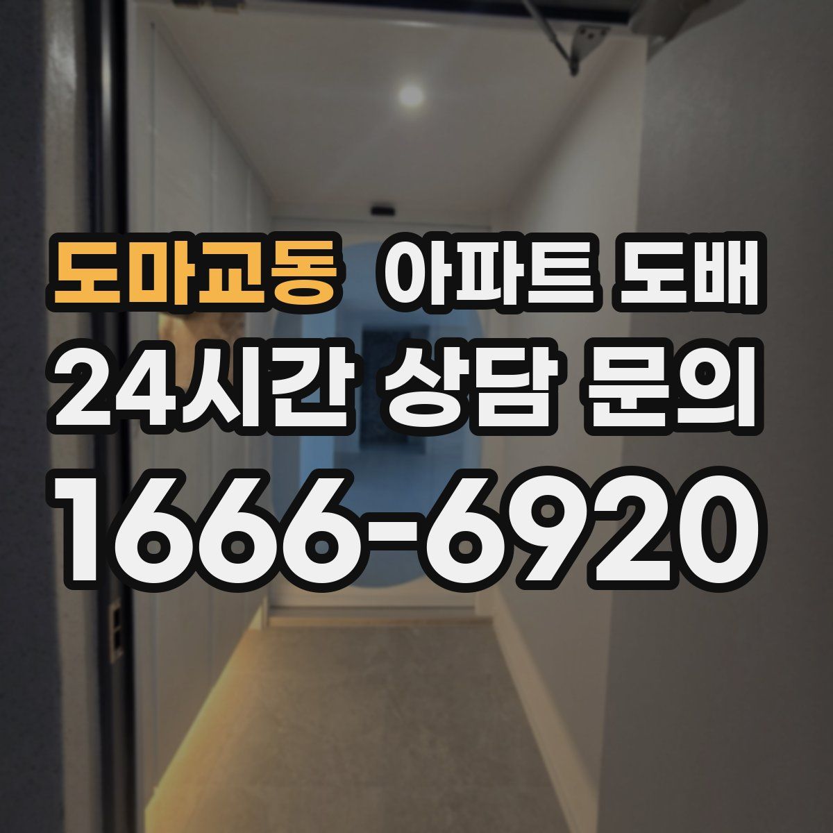 도마교동 아파트 도배