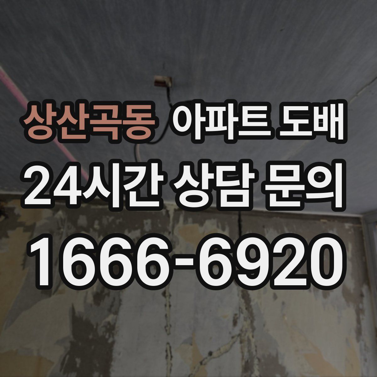 상산곡동 아파트 도배