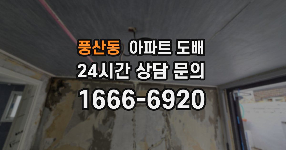 풍산동 아파트 도배