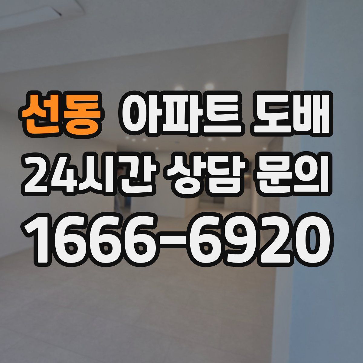 선동 아파트 도배