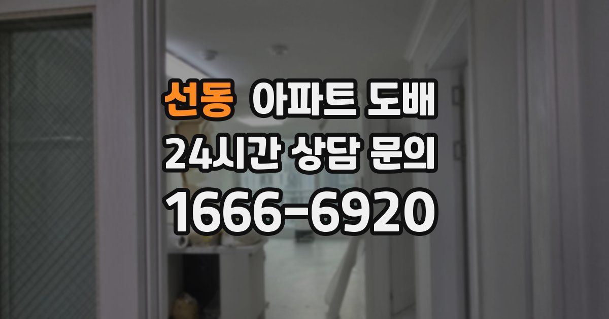 선동 아파트 도배