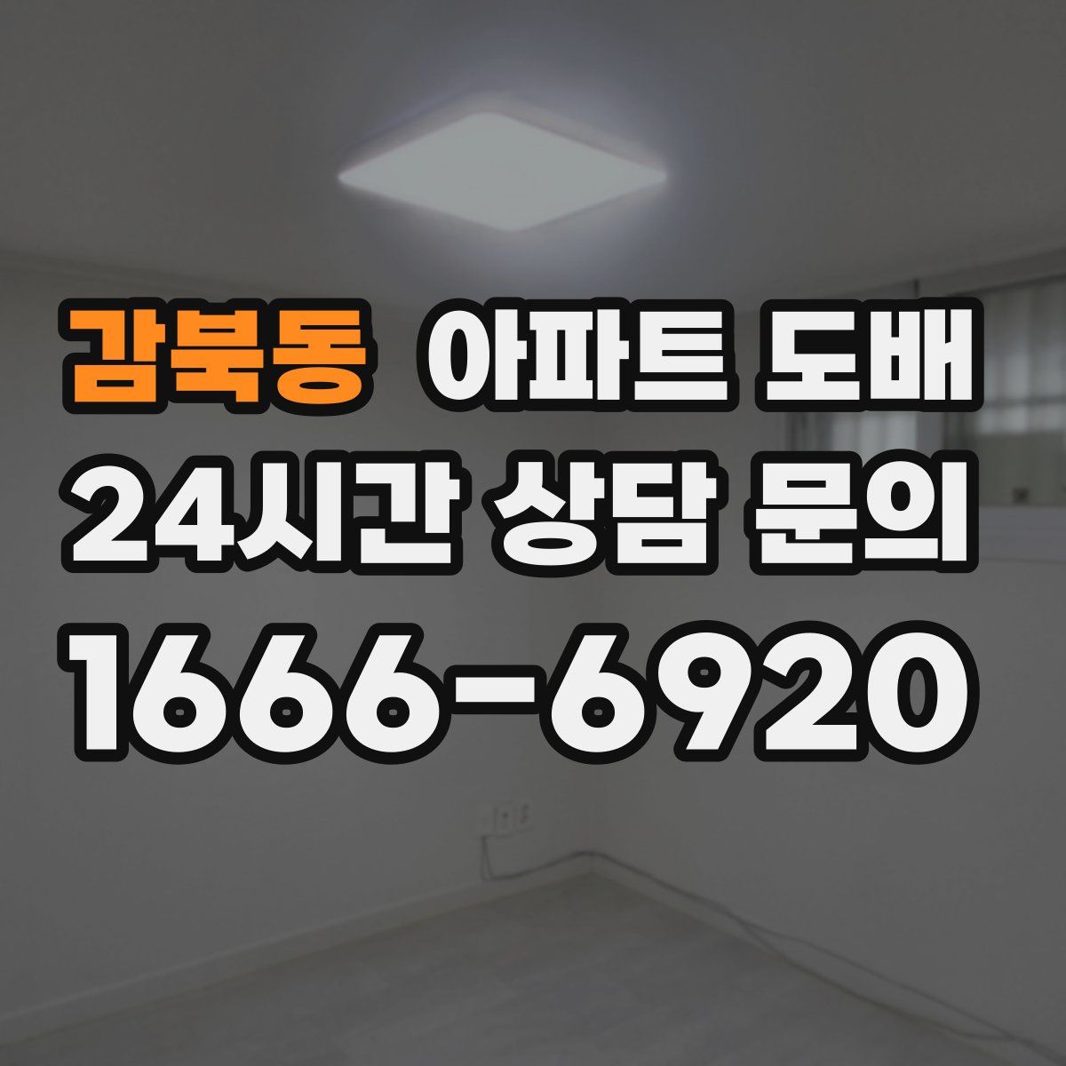 감북동 아파트 도배