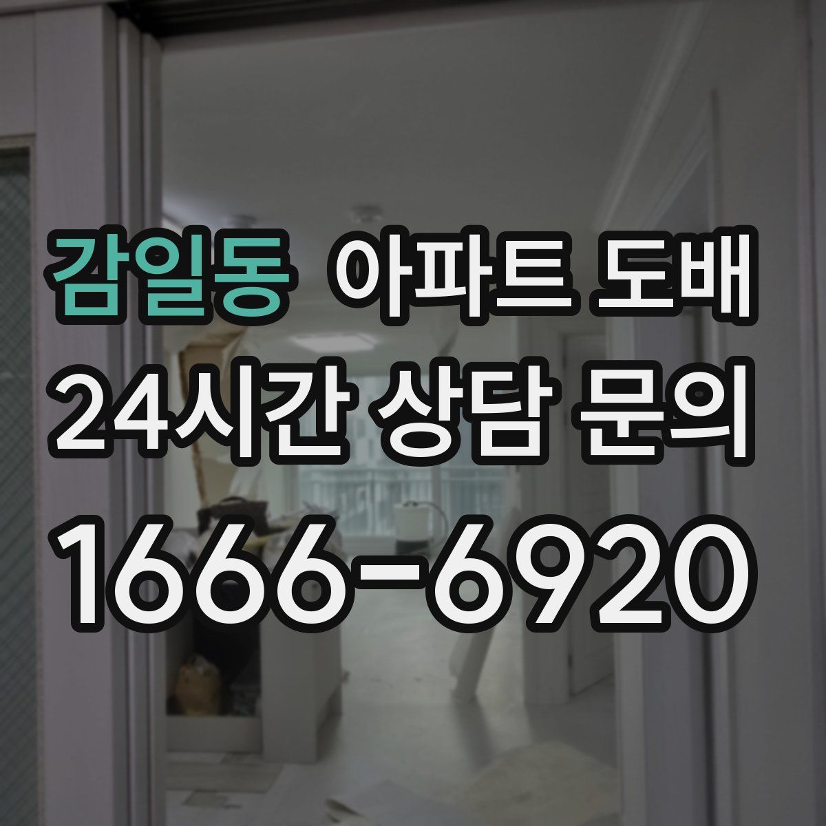감일동 아파트 도배