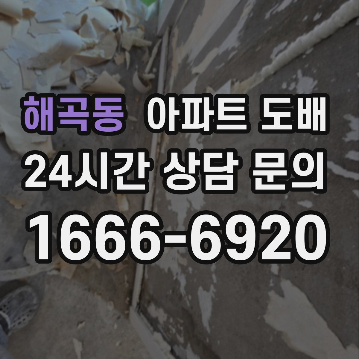 해곡동 아파트 도배