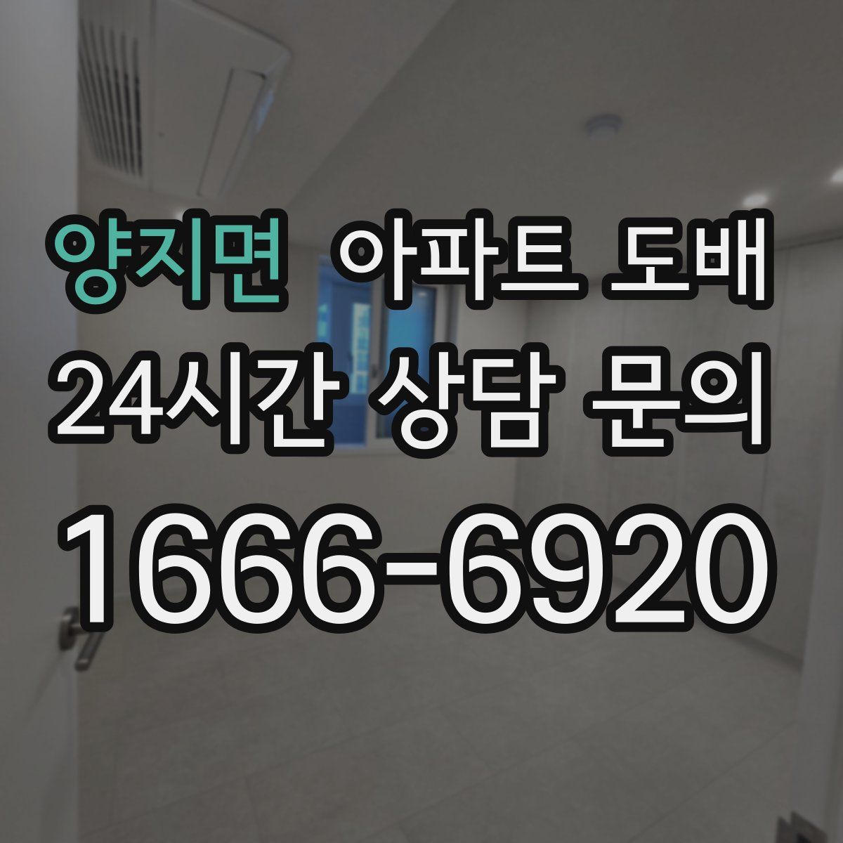 양지면 아파트 도배