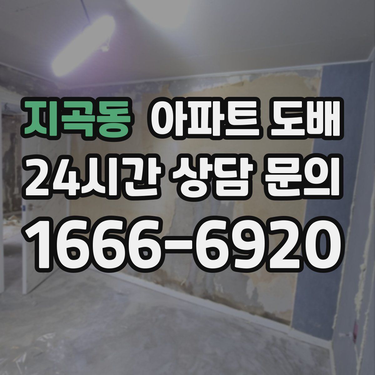 지곡동 아파트 도배