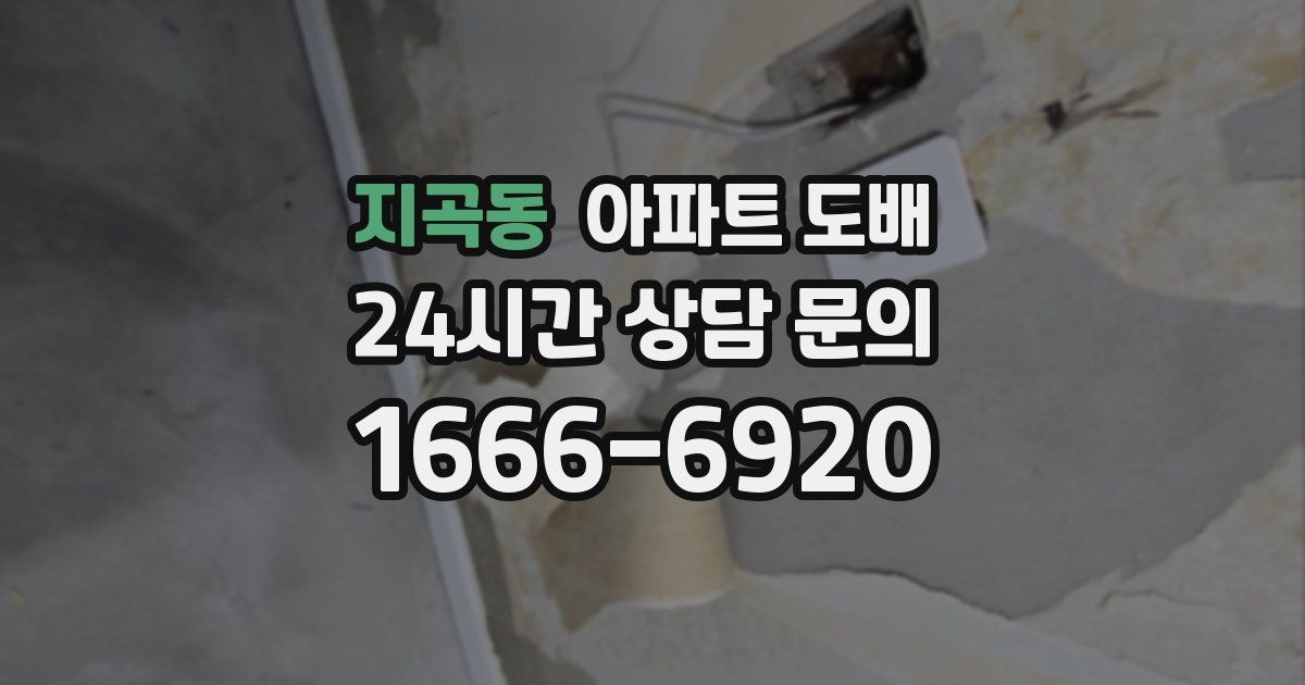지곡동 아파트 도배