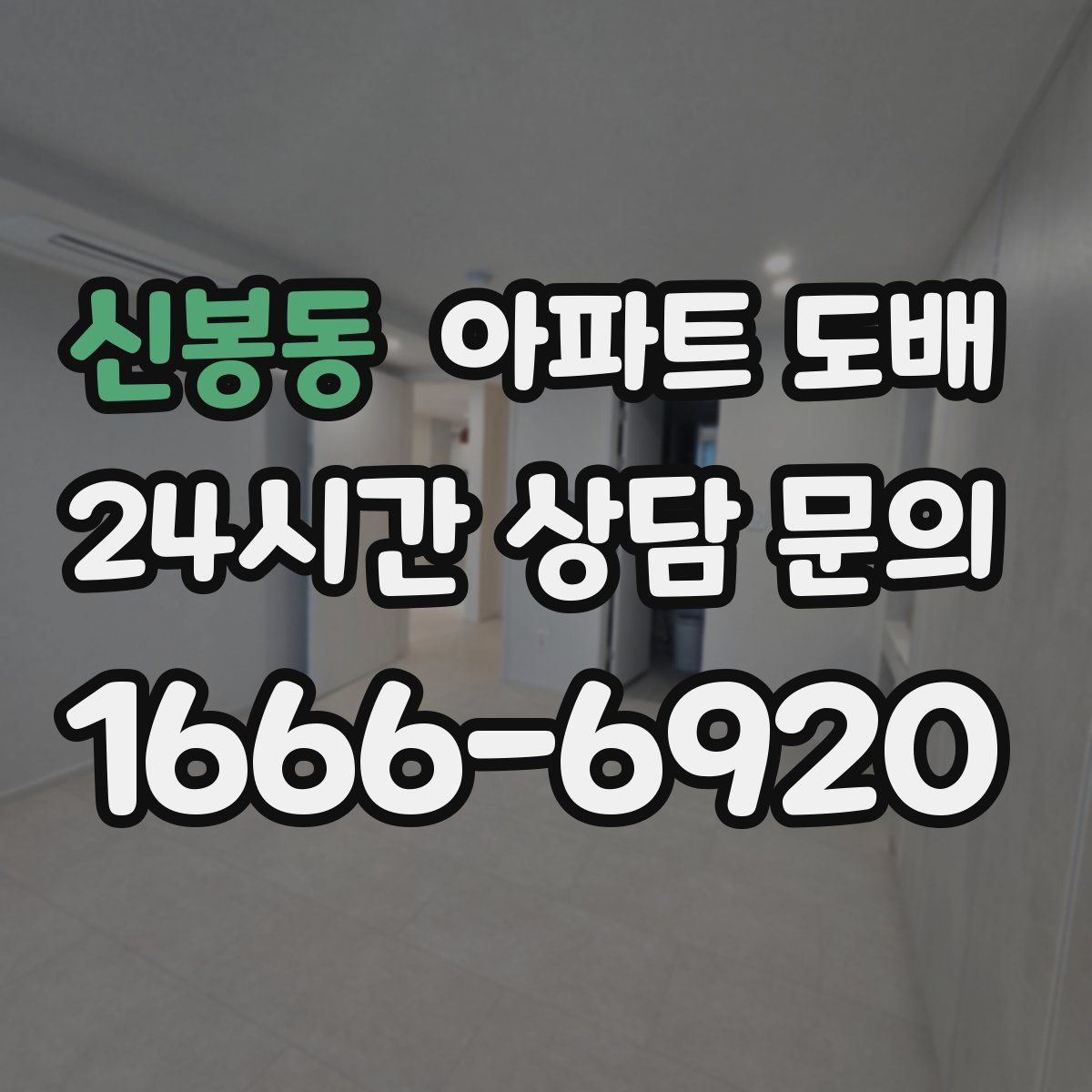 신봉동 아파트 도배