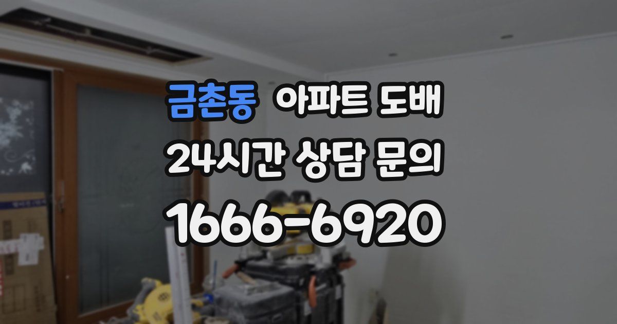 금촌동 아파트 도배
