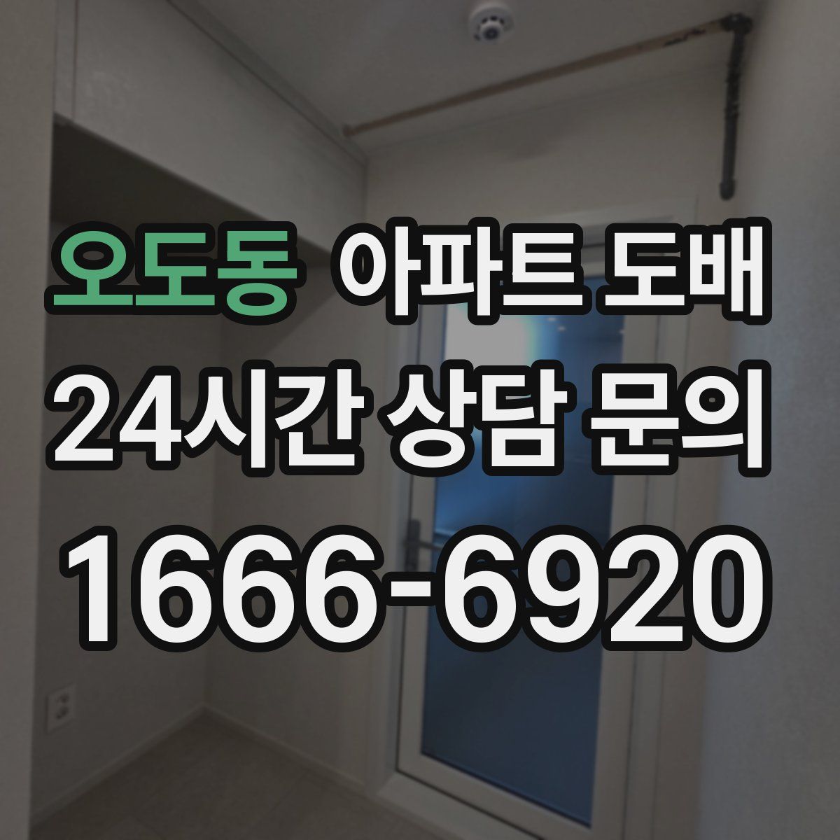 오도동 아파트 도배