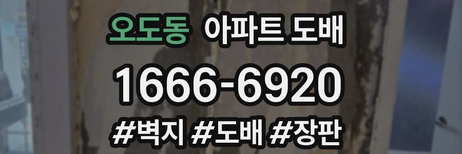 오도동 아파트 도배