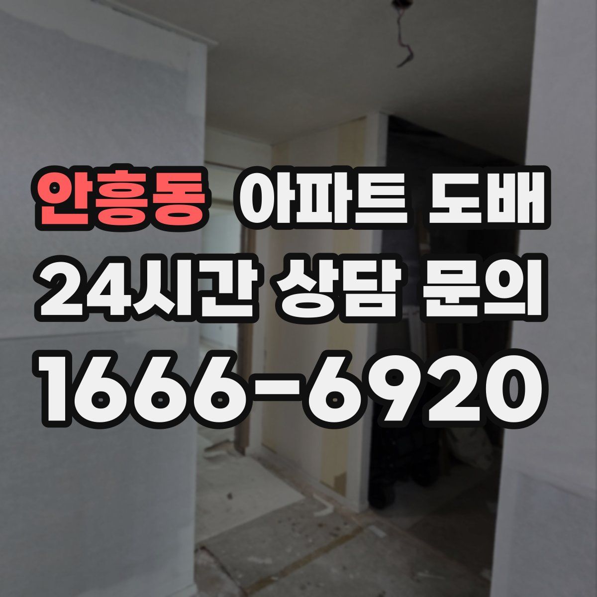 안흥동 아파트 도배