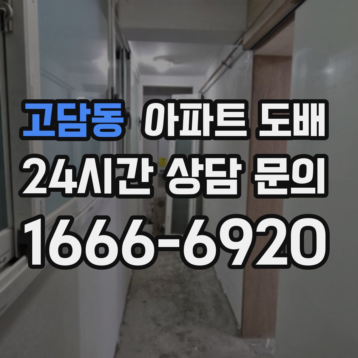 고담동 아파트 도배