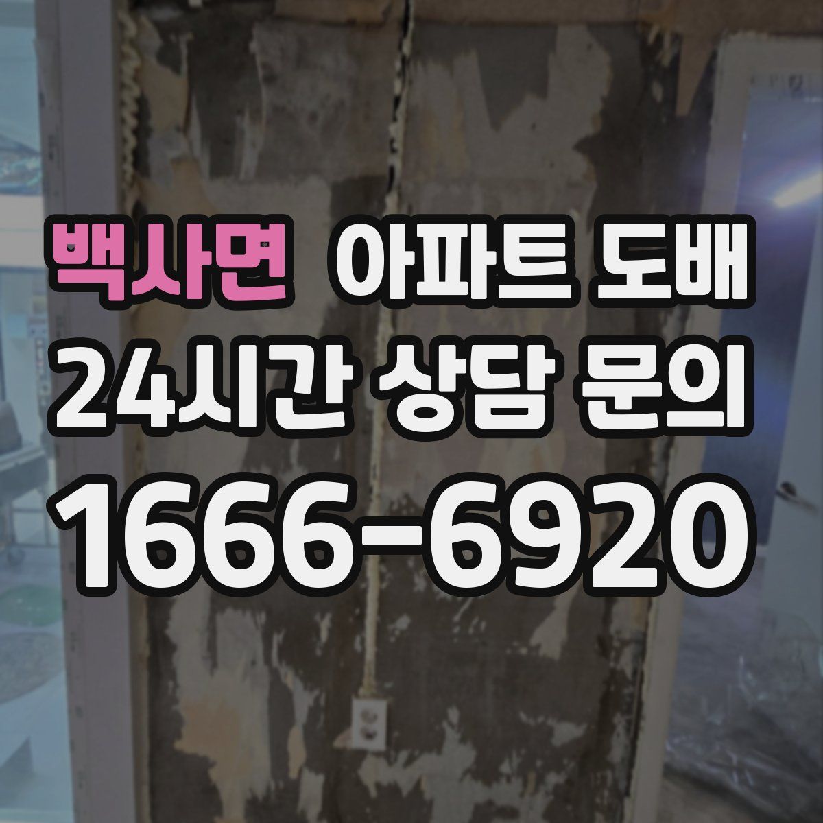 백사면 아파트 도배