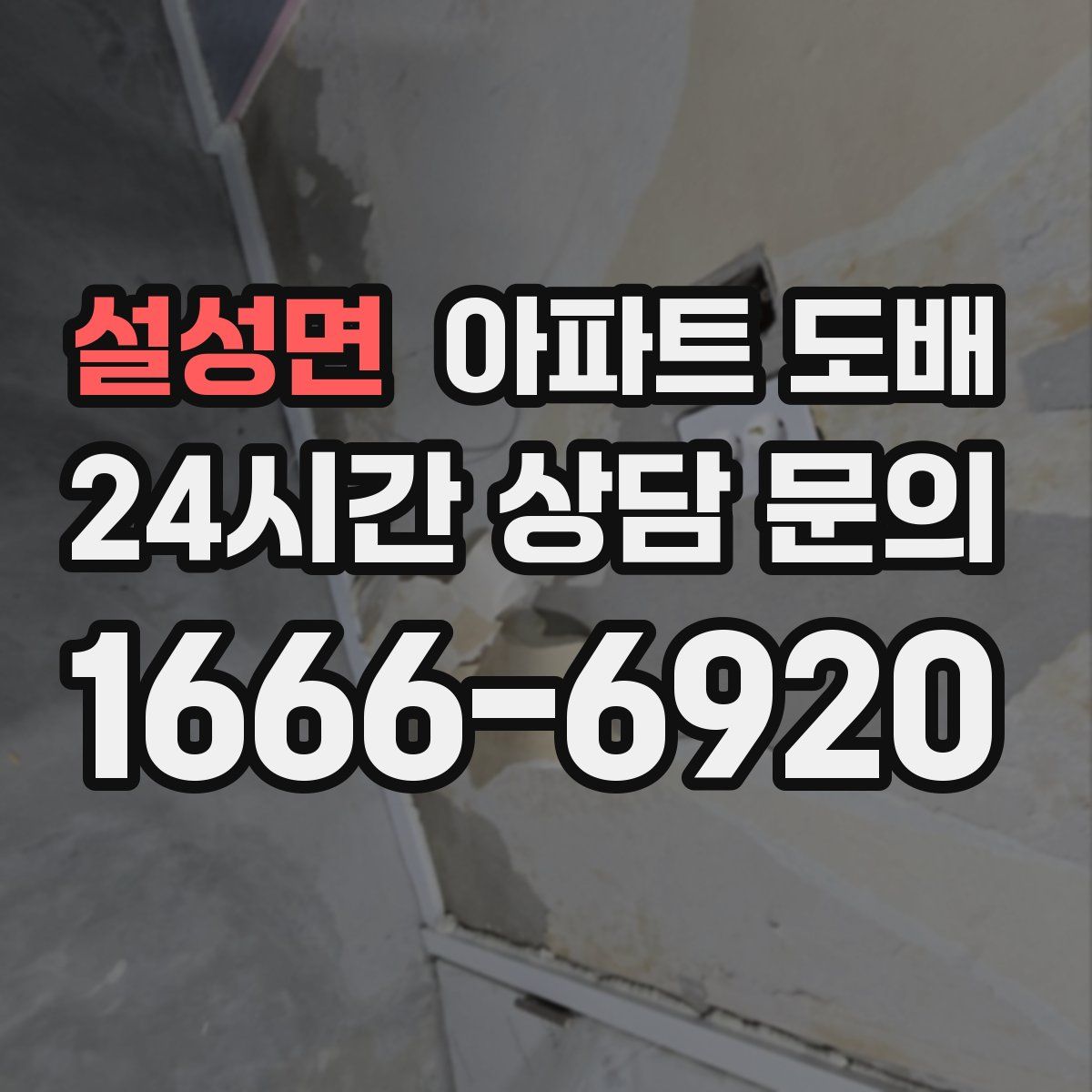 설성면 아파트 도배