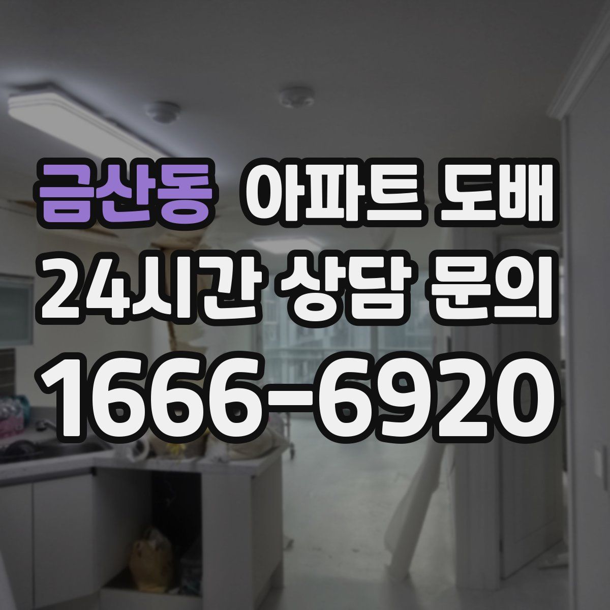 금산동 아파트 도배