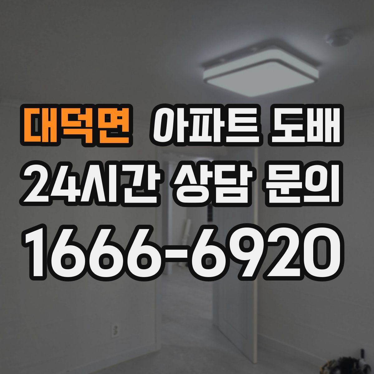 대덕면 아파트 도배