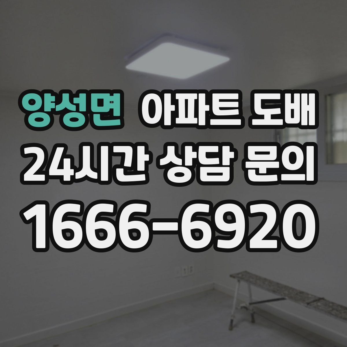 양성면 아파트 도배
