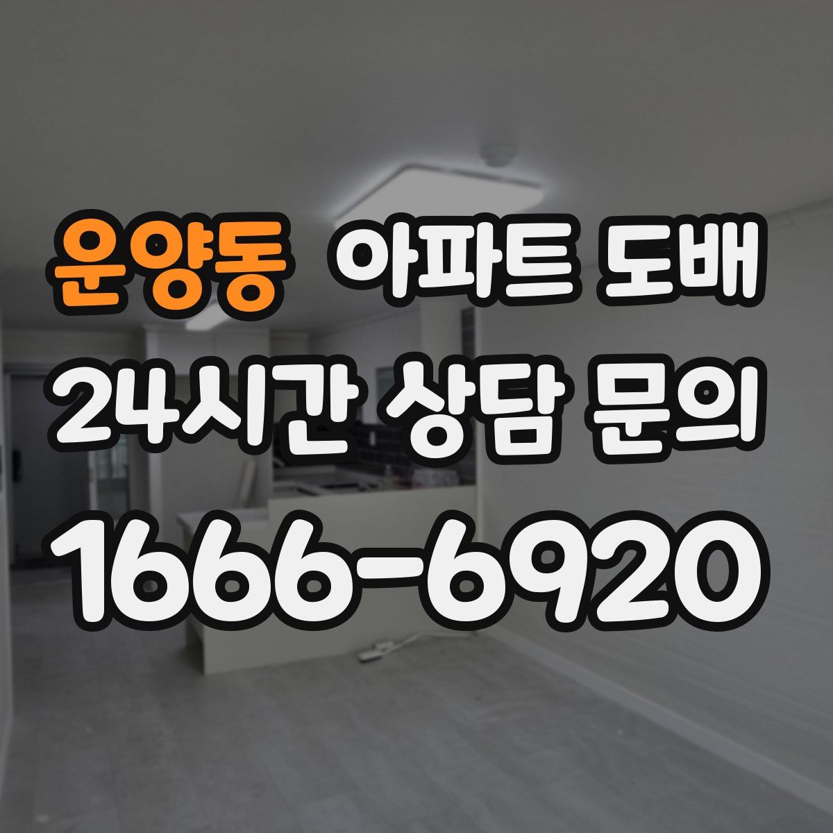 운양동 아파트 도배