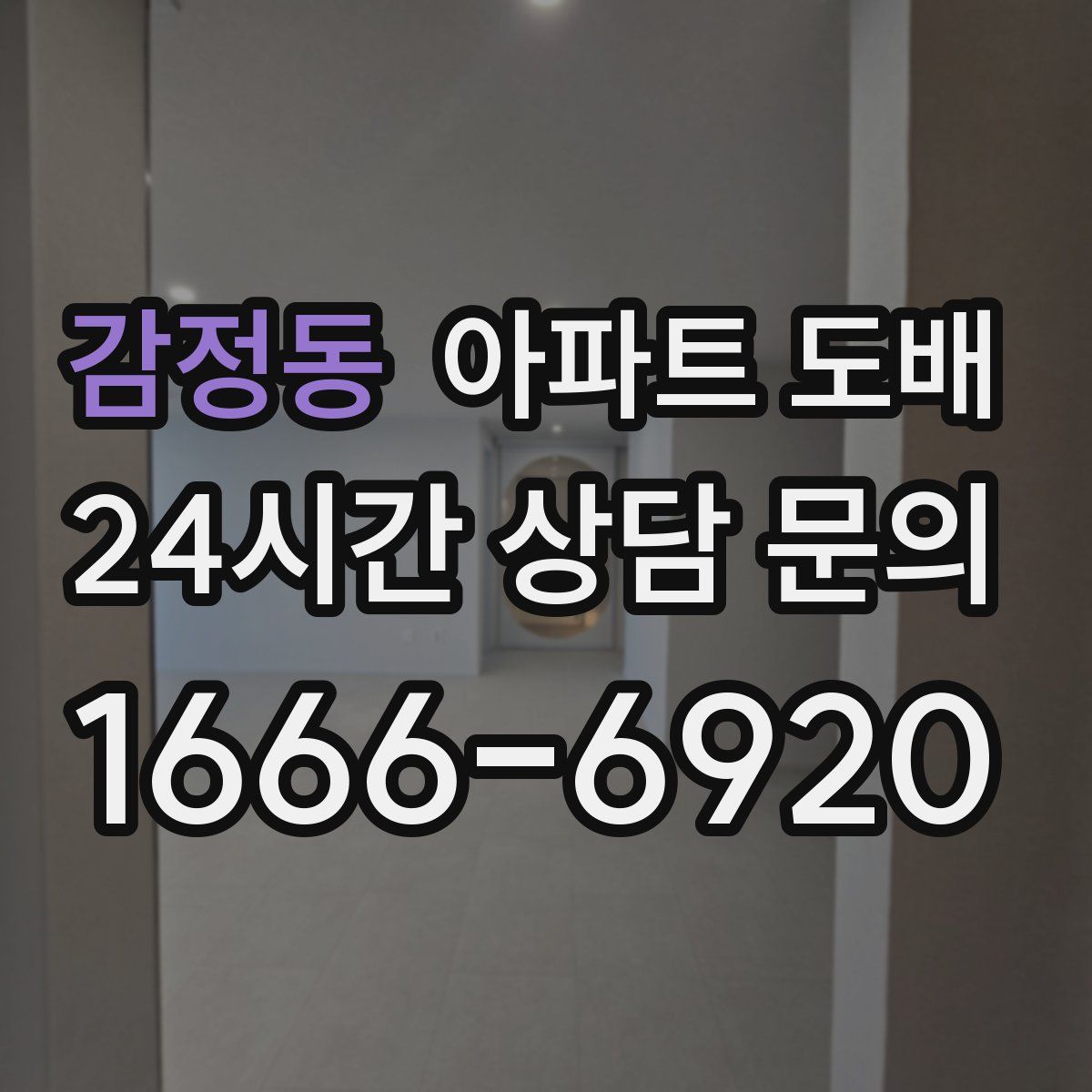 감정동 아파트 도배