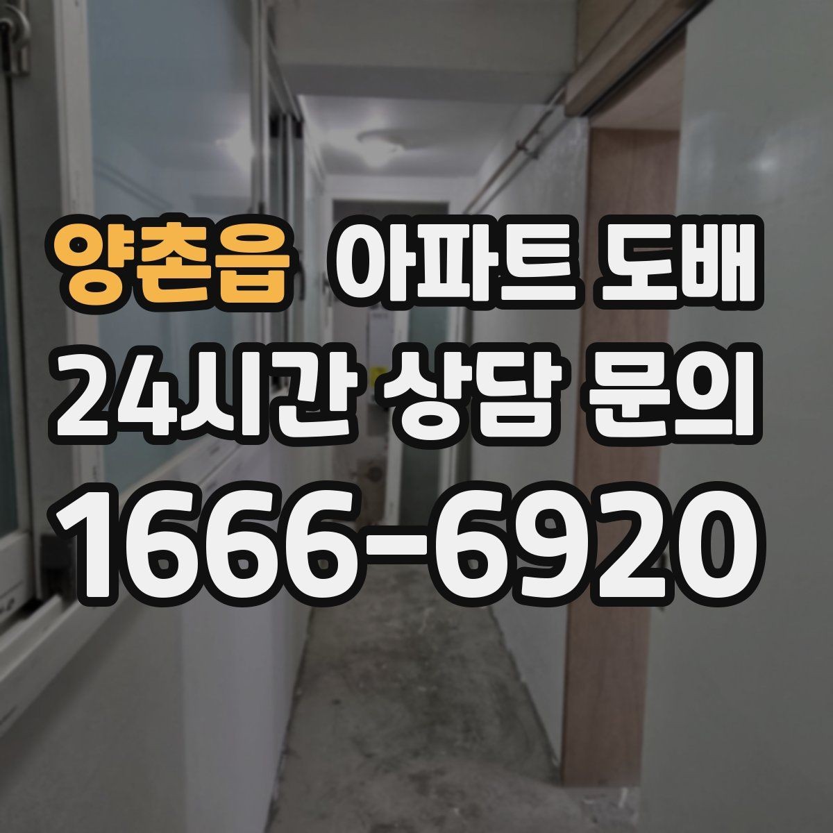 양촌읍 아파트 도배 실내 분위기를 바꾸는 색상 선택