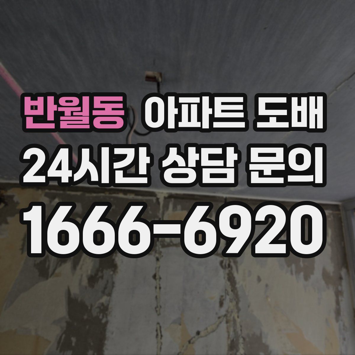 반월동 아파트 도배