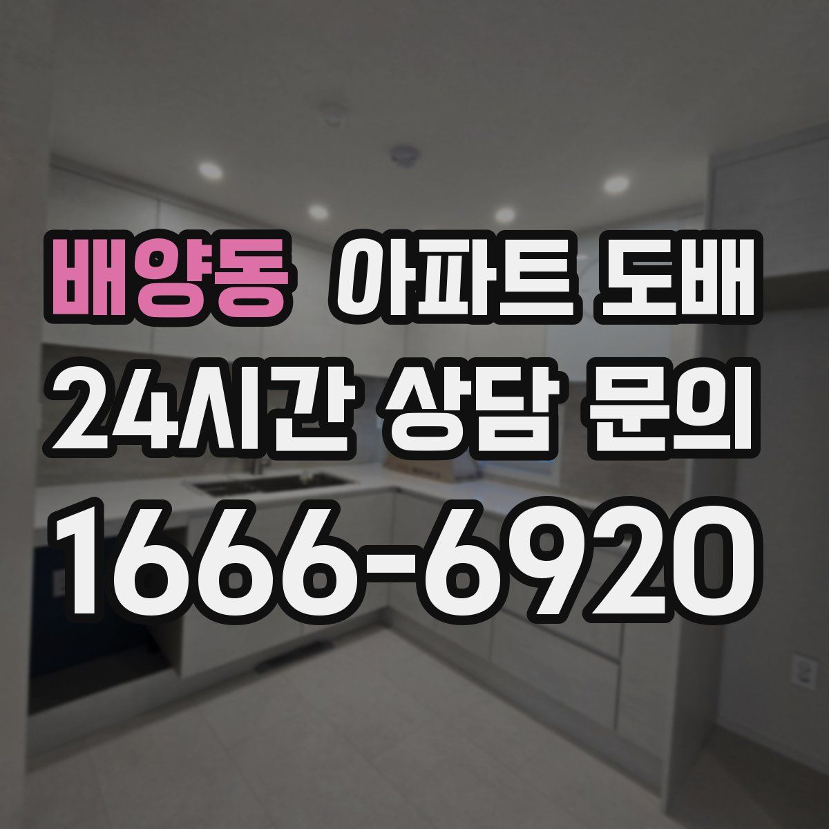 배양동 아파트 도배