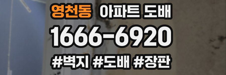 영천동 아파트 도배