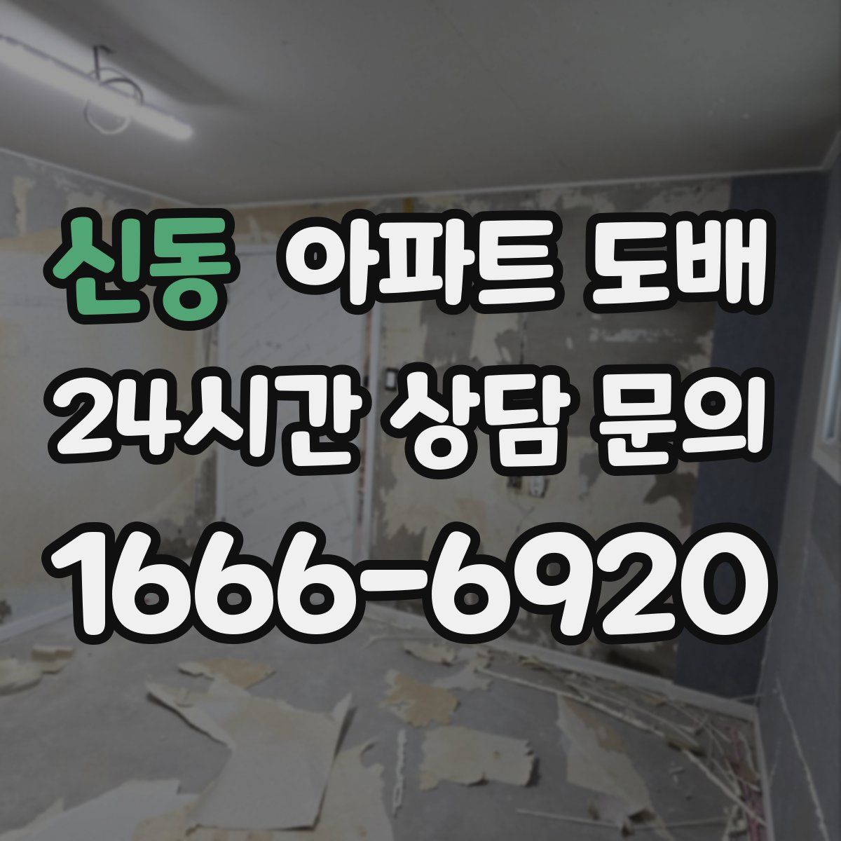 신동 아파트 도배