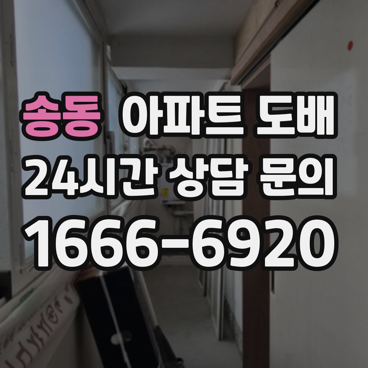 송동 아파트 도배