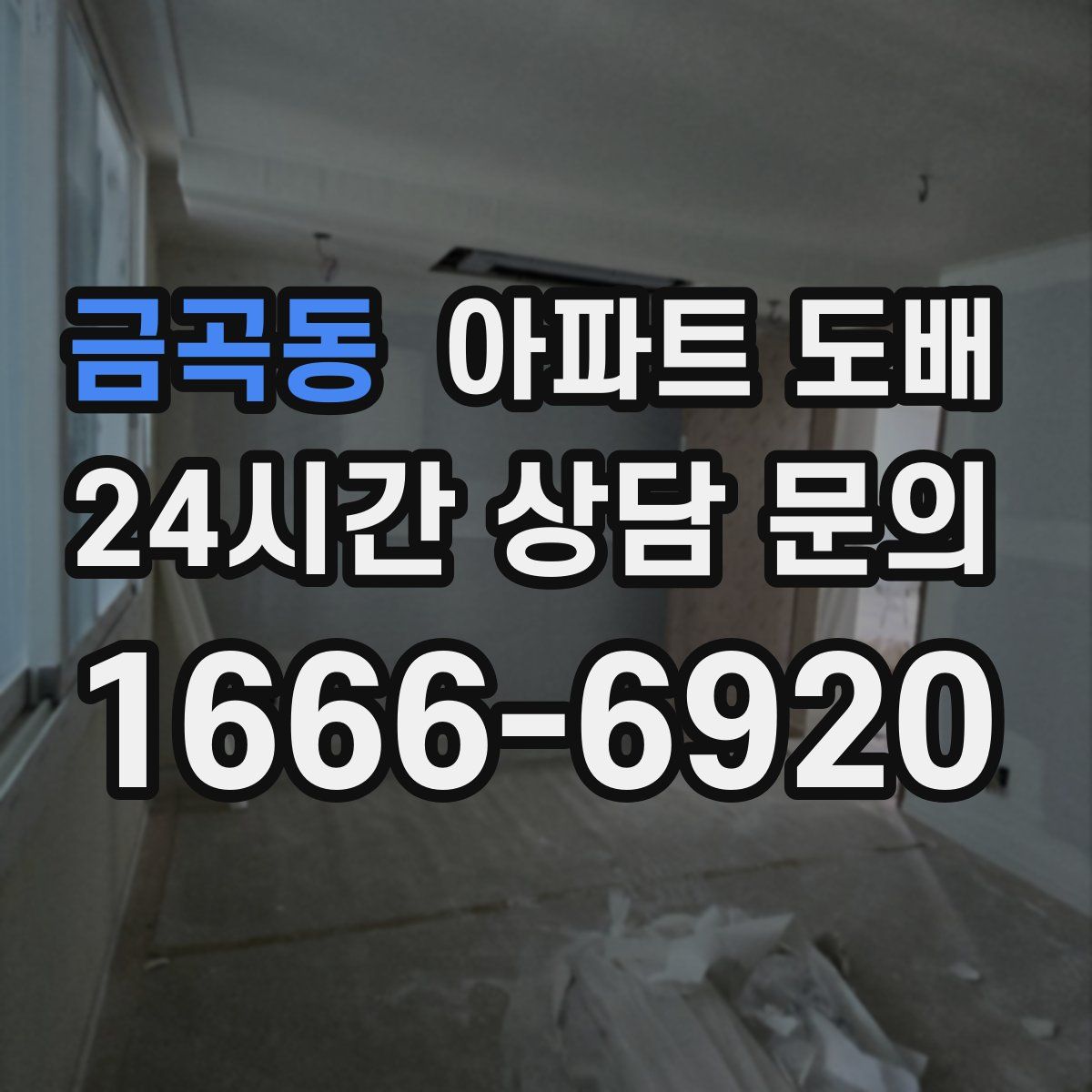 금곡동 아파트 도배