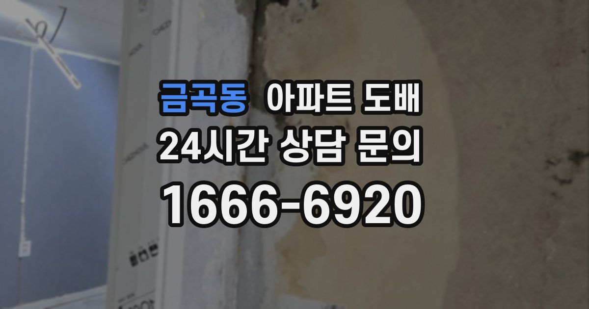 금곡동 아파트 도배