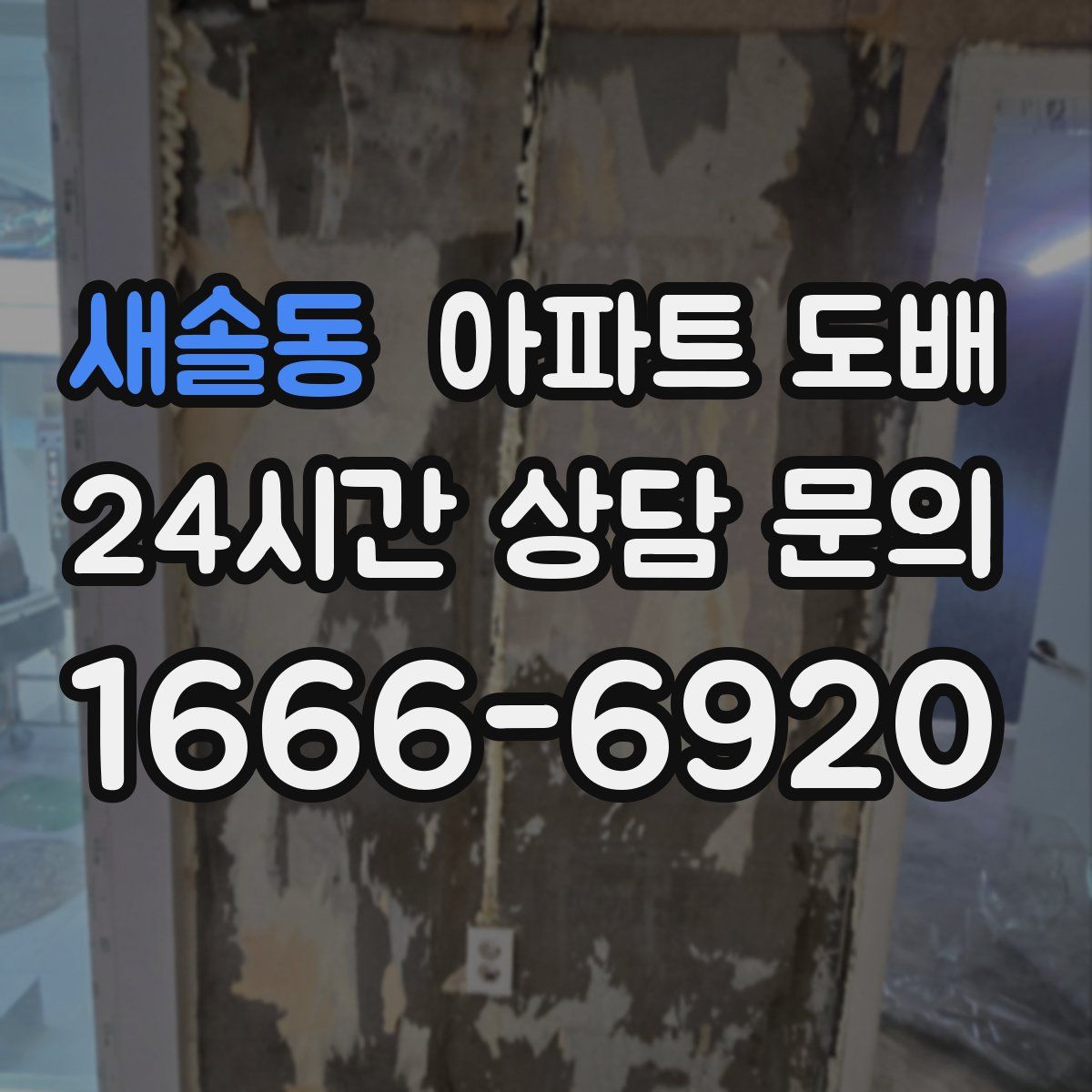 새솔동 아파트 도배