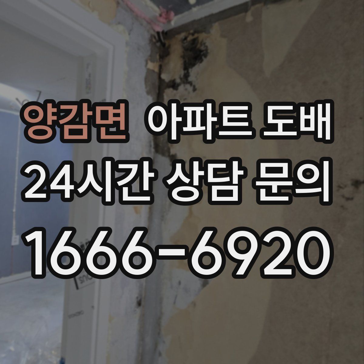 양감면 아파트 도배