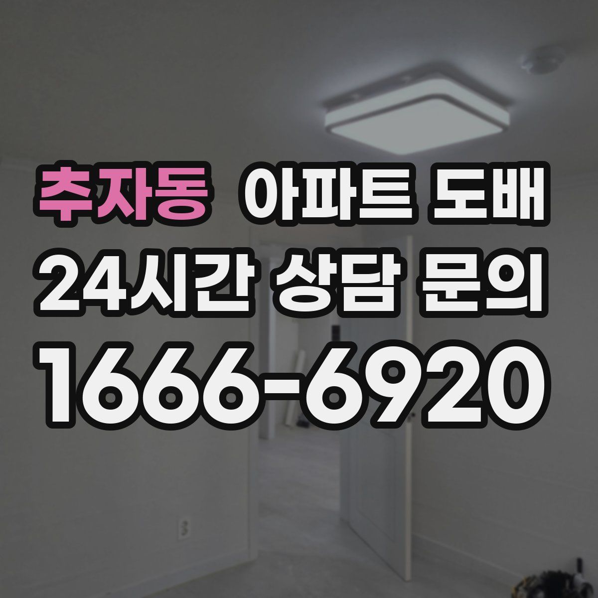 추자동 아파트 도배