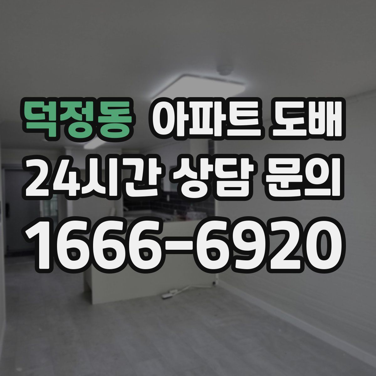 덕정동 아파트 도배
