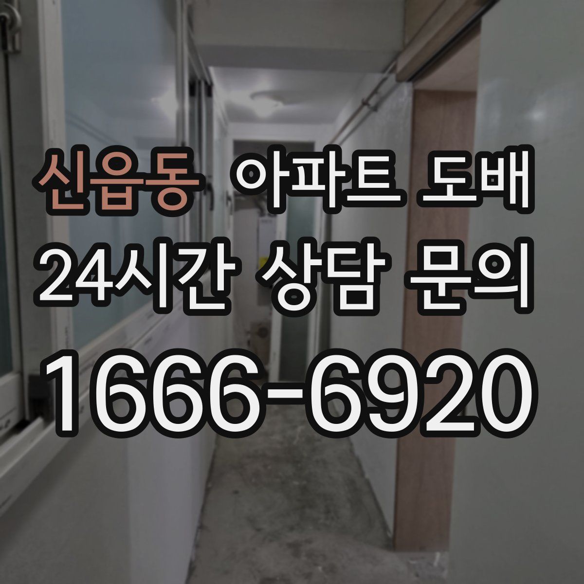 신읍동 아파트 도배