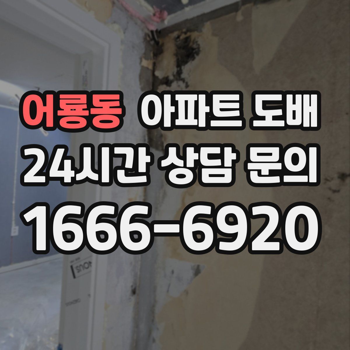 어룡동 아파트 도배